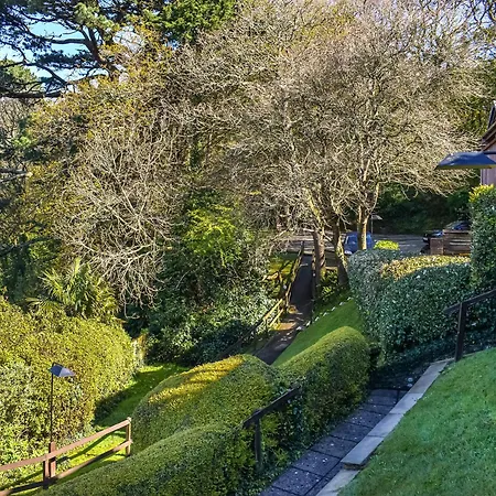 Hill